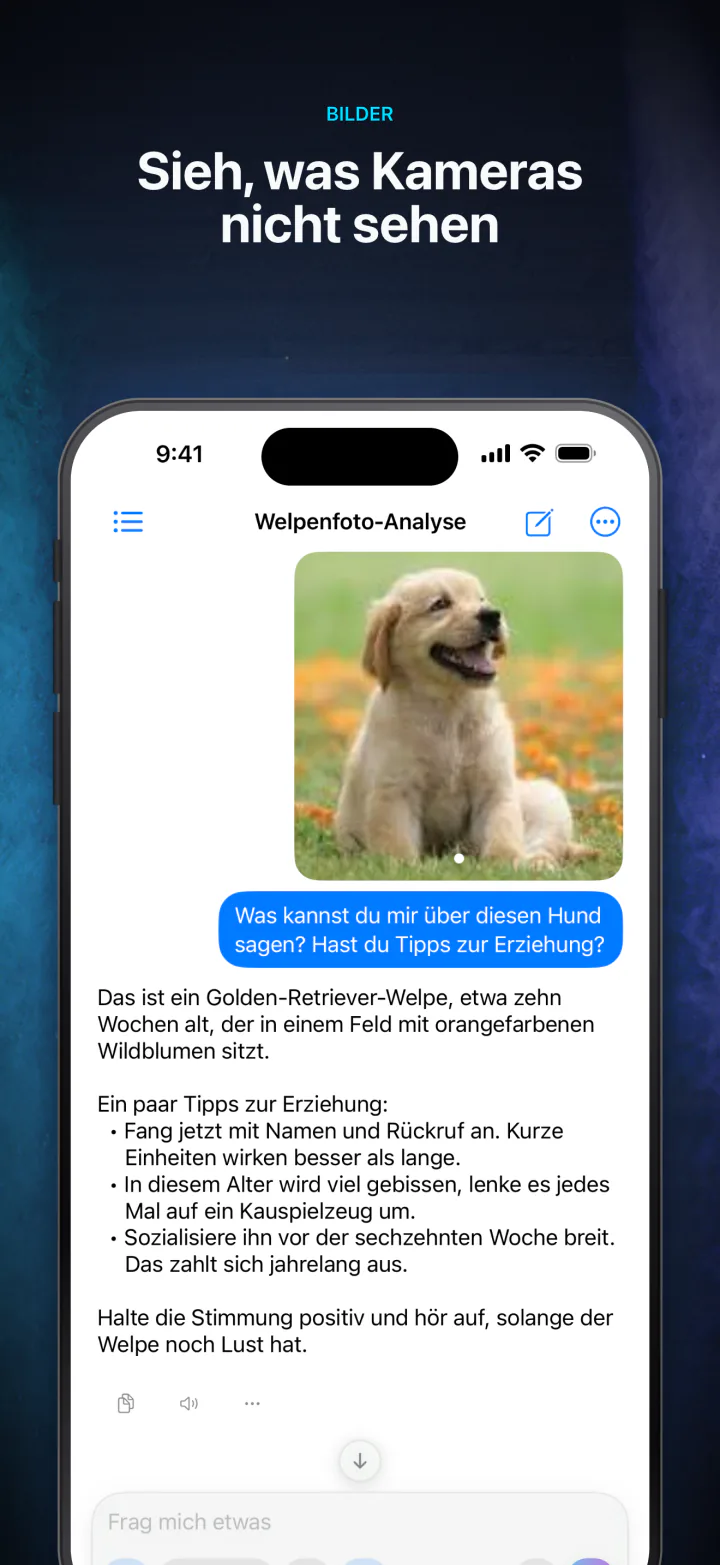 LocalMind AI beschreibt auf dem Gerät ein angehängtes Foto