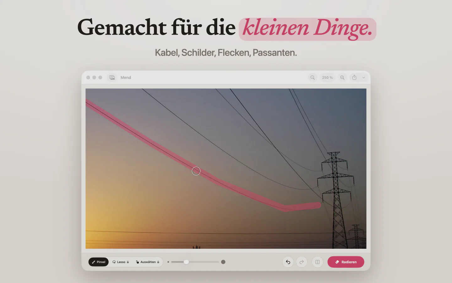 Mend auf dem Mac mit einem pinken Strich entlang einer Stromleitung vor dem Abendhimmel