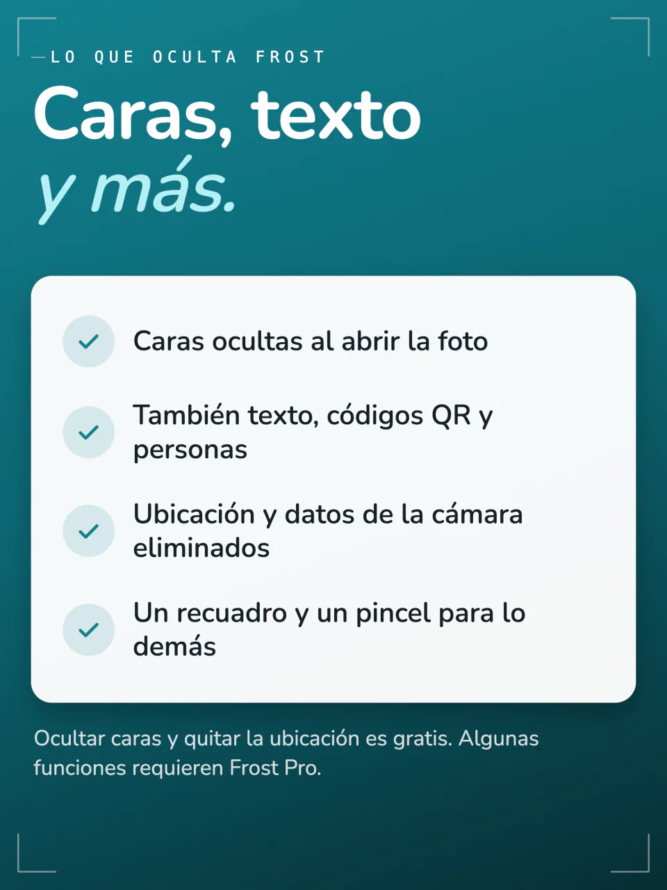 Lo que oculta Frost: caras al abrir la foto, texto, códigos QR y personas, ubicación y datos de la cámara, con un recuadro y un pincel para todo lo demás