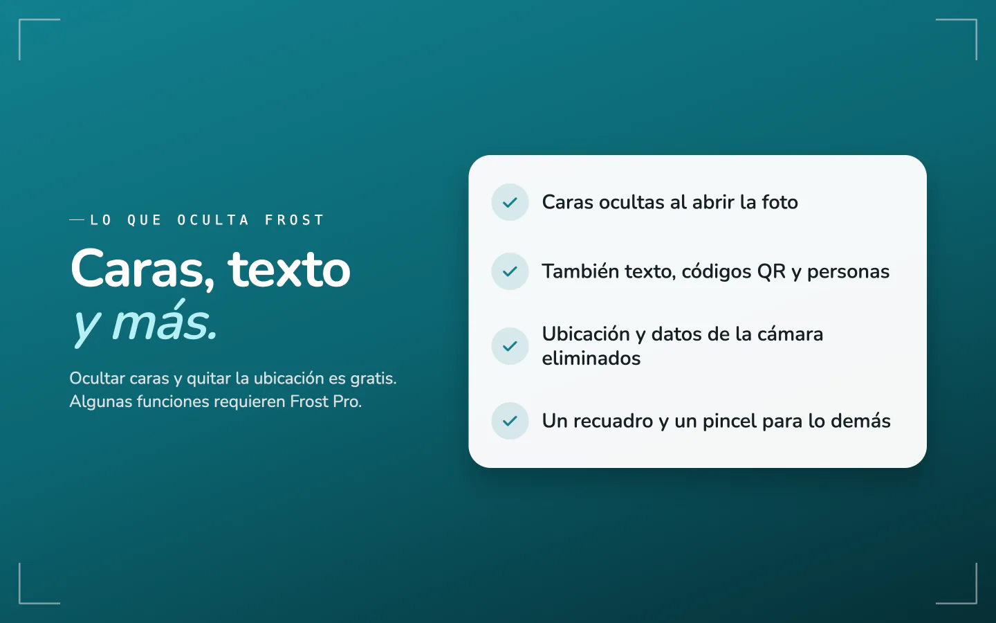 Lo que oculta Frost: caras al abrir la foto, texto, códigos QR y personas, ubicación y datos de la cámara, con un recuadro y un pincel para todo lo demás