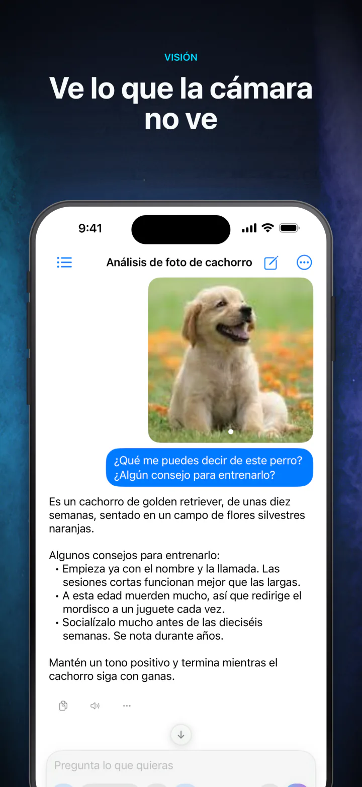 LocalMind AI describiendo en el dispositivo una foto adjunta
