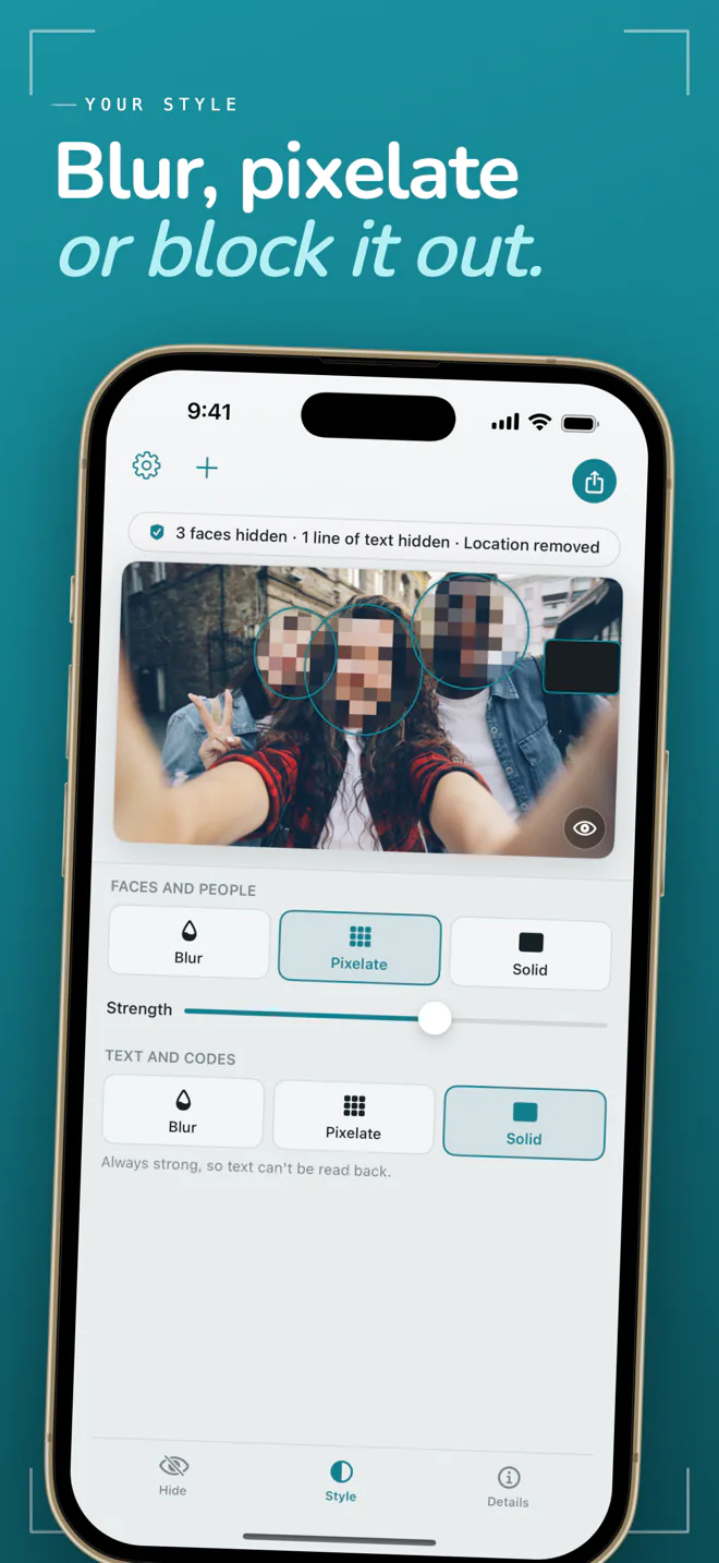 Frost Style panel with Blur, Pixelate, and Solid options for hidden faces
