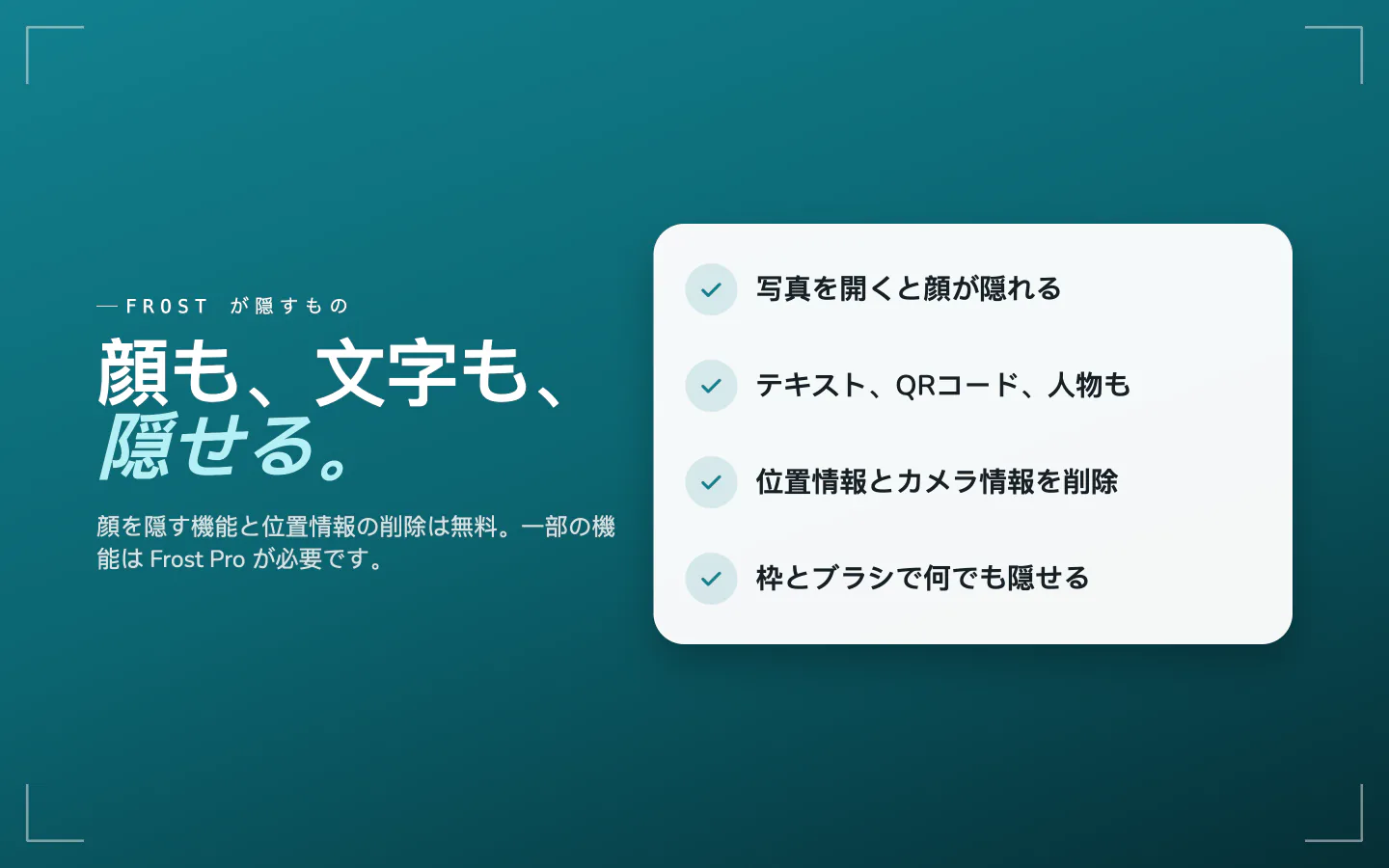 Frostが隠すもの:開いたときの顔、テキスト、QRコード、人物、位置情報とカメラの情報、そのほかのためのボックスとブラシ