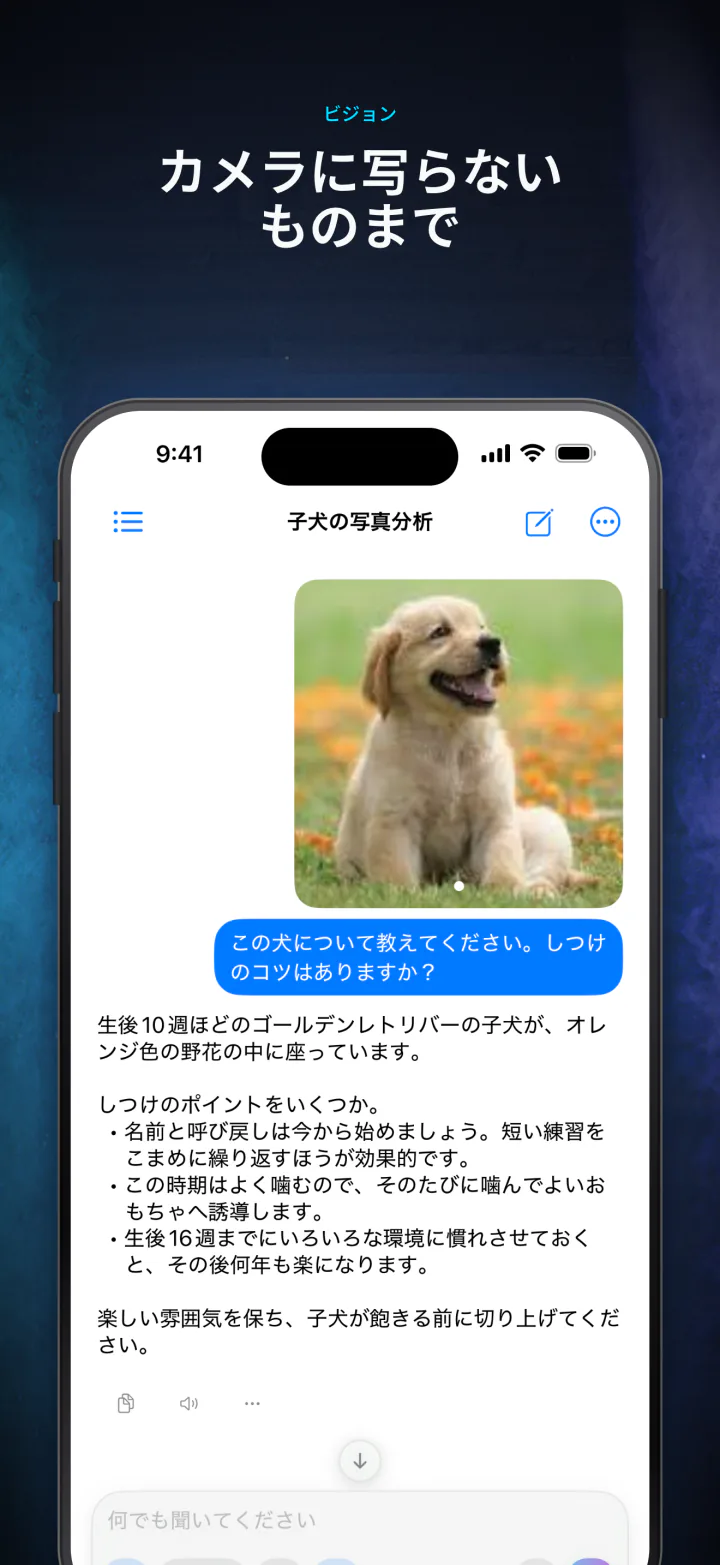 LocalMind AIが添付した写真をデバイス上で説明している画面