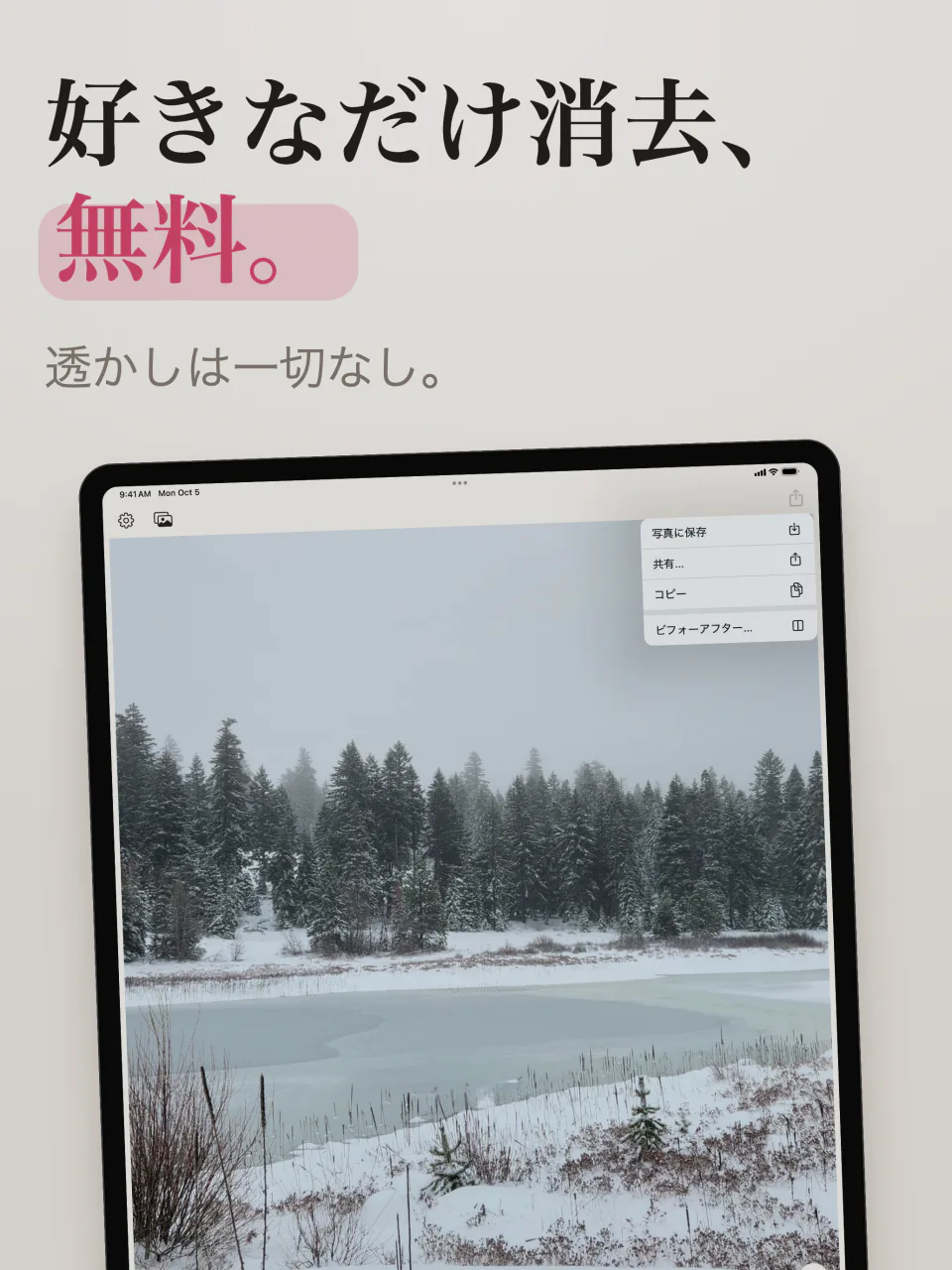 iPadのMend:透かしのない雪の湖の写真と、写真に保存、共有、ビフォーアフターのメニュー
