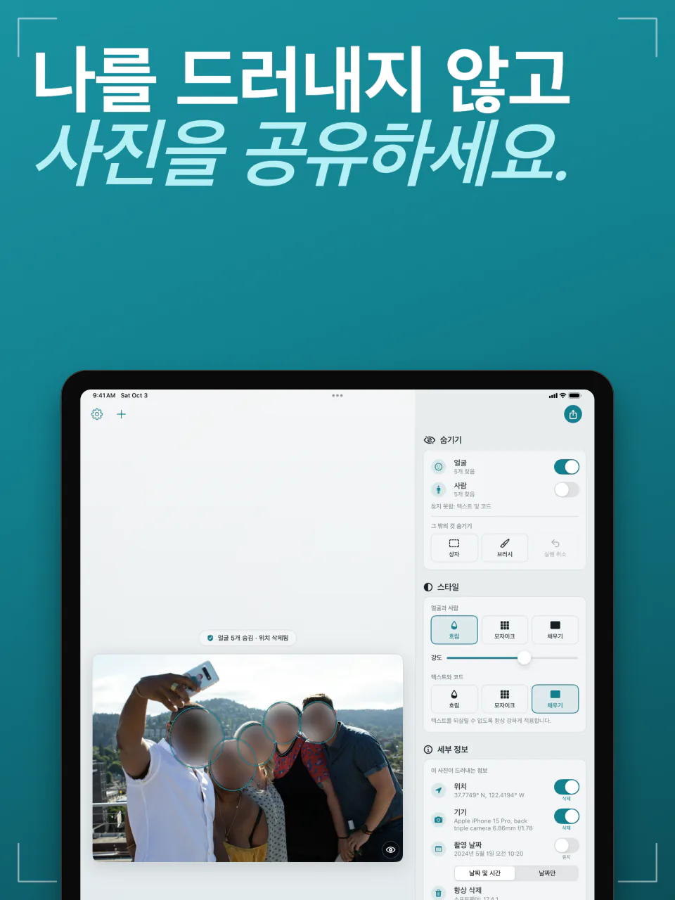 iPad의 Frost: 얼굴이 흐려진 단체 셀카와 숨기기, 스타일, 세부 정보 패널