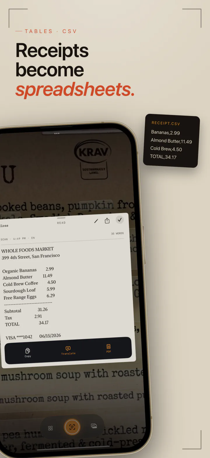 A receipt captured by LiveScan and rebuilt as rows and columns for a CSV export