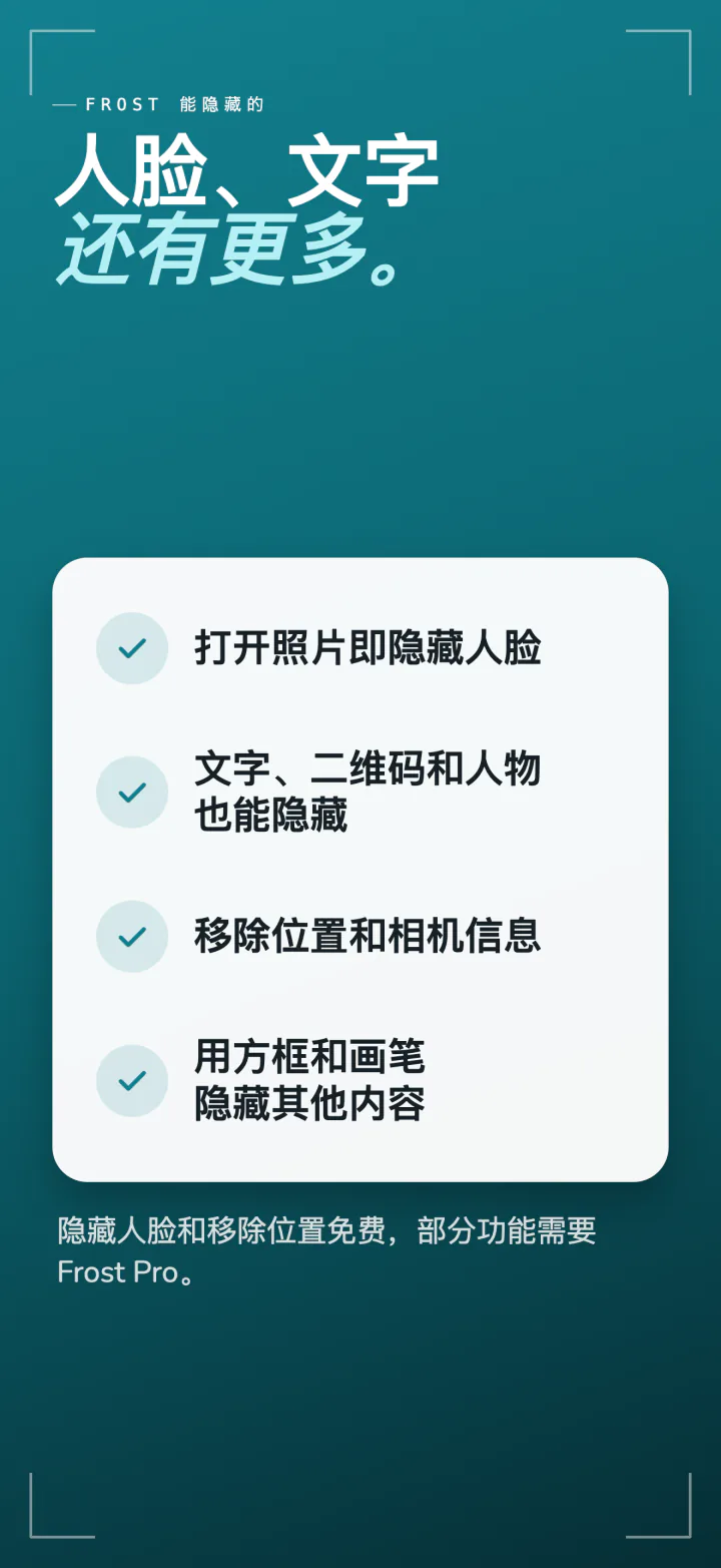 Frost 能隐藏的内容：打开时的人脸，文字、二维码和人物，位置和相机信息，以及用于其他内容的方框和画笔