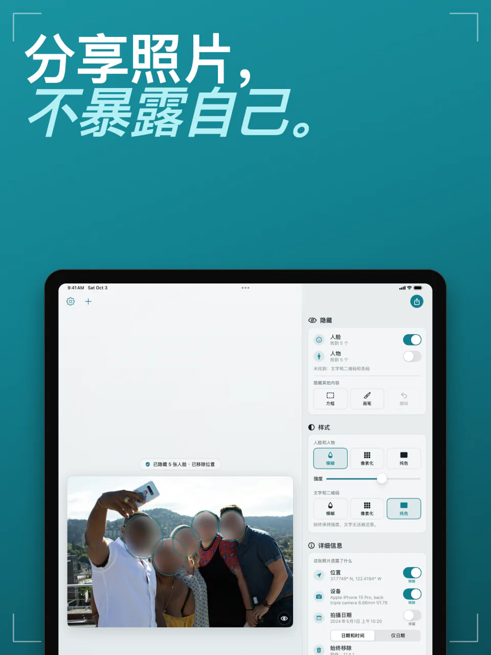 iPad 上的 Frost：一张人脸已模糊的多人自拍，旁边是隐藏、样式和详细信息面板