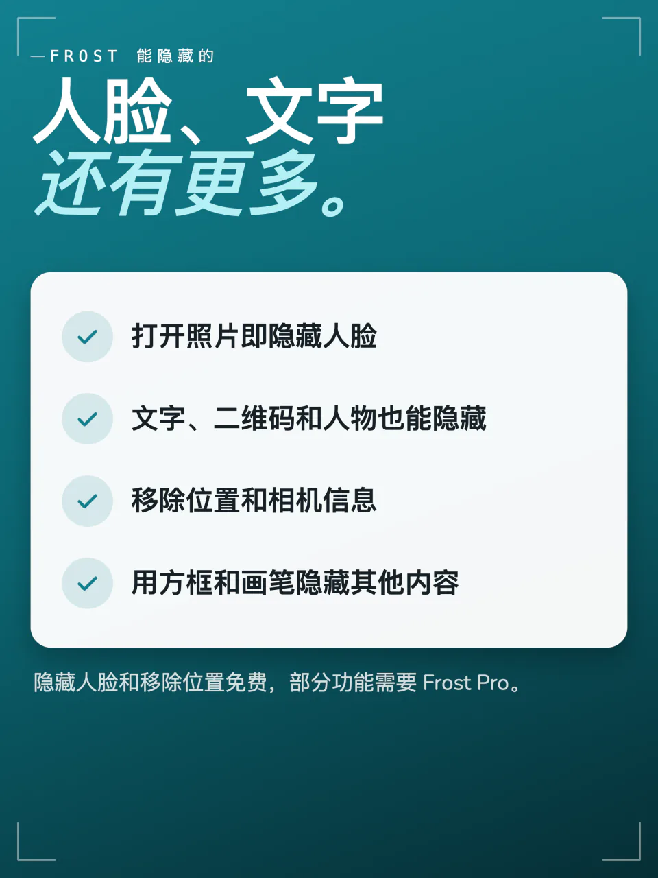 Frost 能隐藏的内容：打开时的人脸，文字、二维码和人物，位置和相机信息，以及用于其他内容的方框和画笔